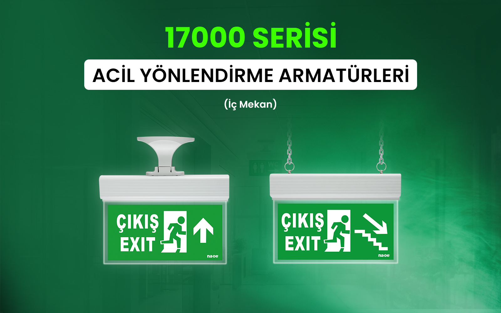 17000 Serisi